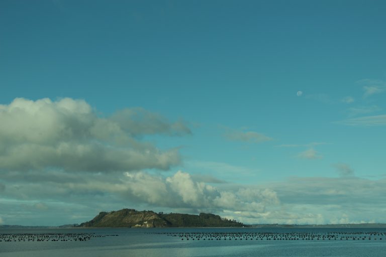 Isla LLingua, Chiloé